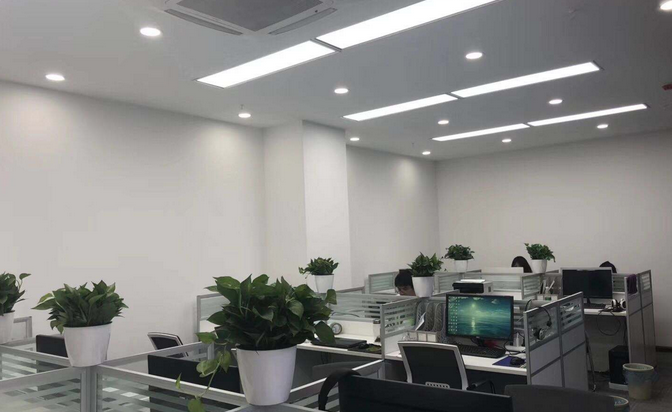 Xinjiang Xinta Tong Shang International Trade Co., Ltd.