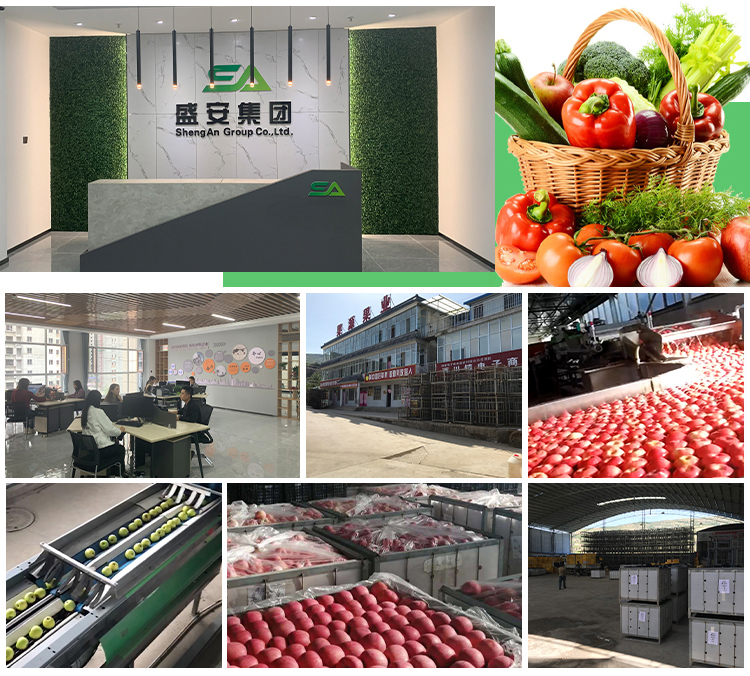 Gansu Sheng'an Century Jiayuan Agricultural Products Import and Export Co., Ltd. – Product photos 2