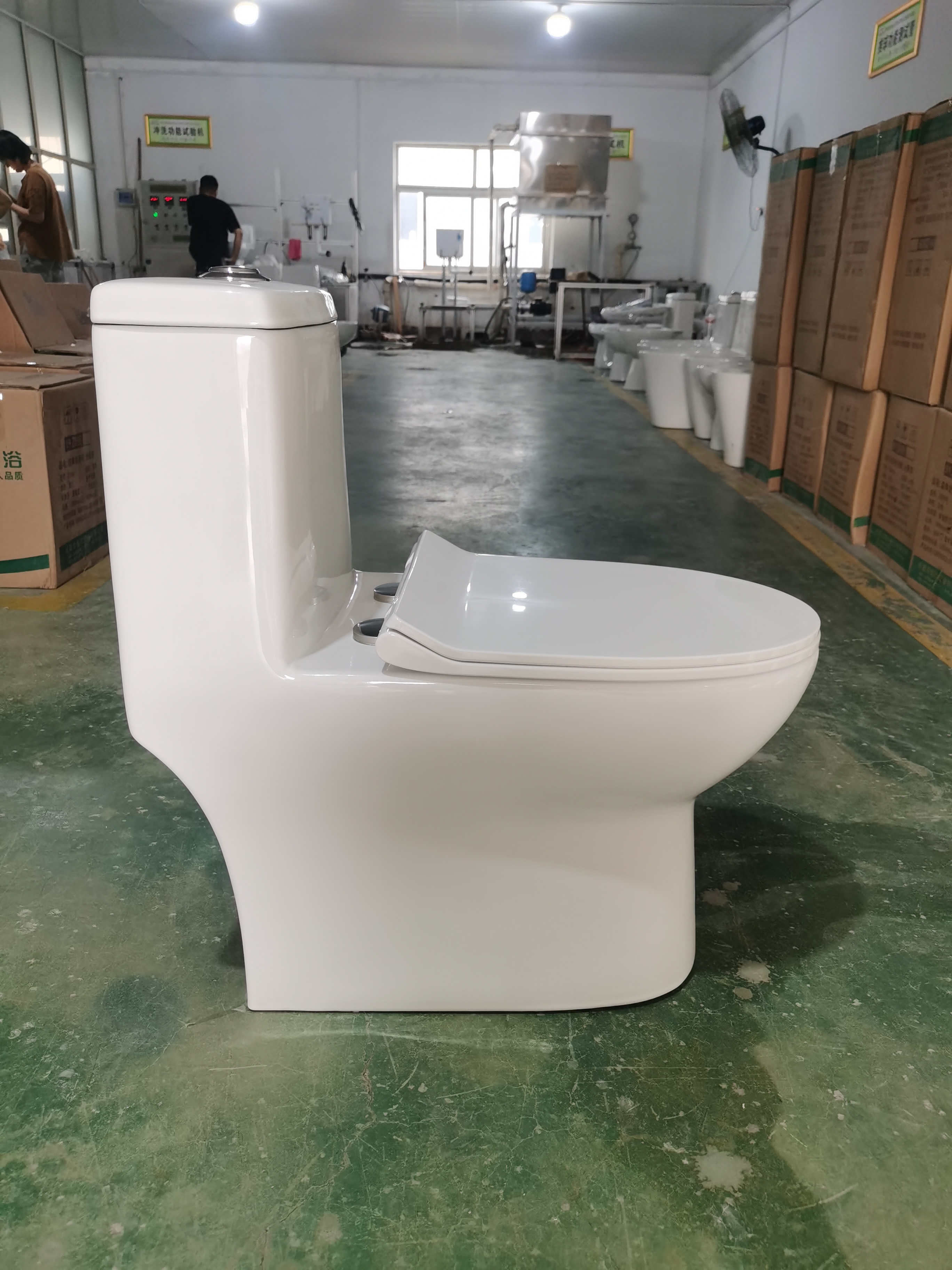 One Piece Toilet