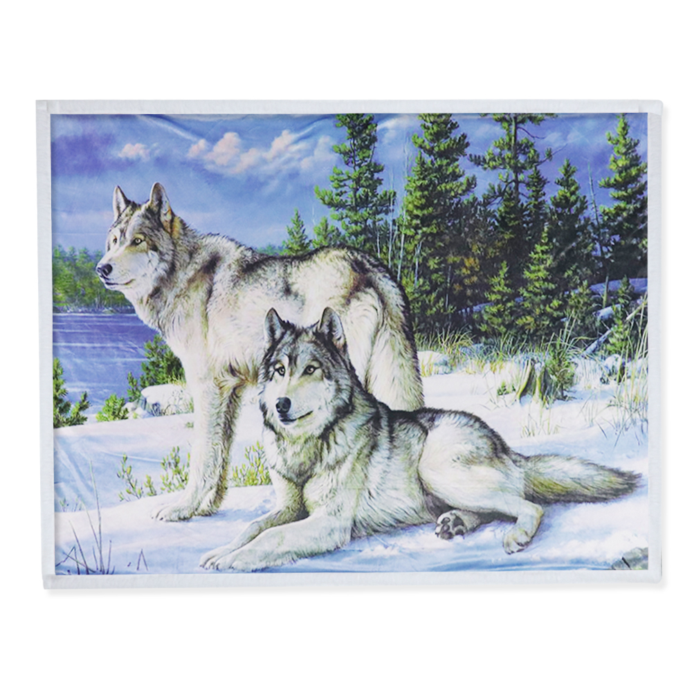 digital printing blanket