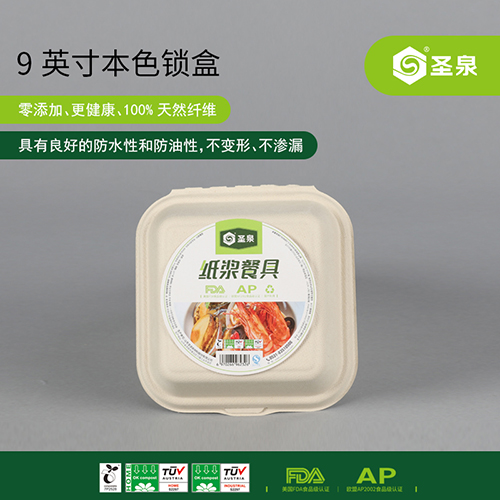 9-inch natural color lock box