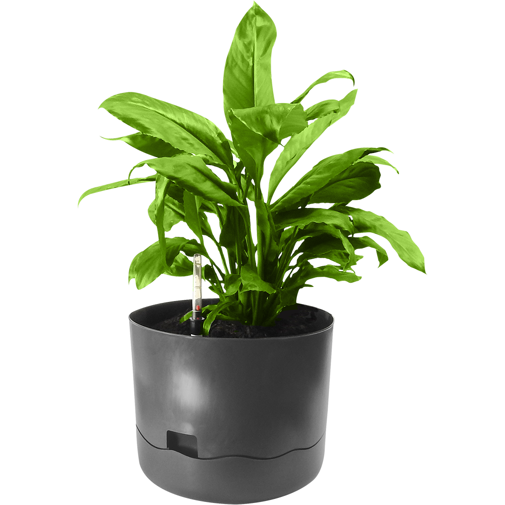 Waveline Planter, 300