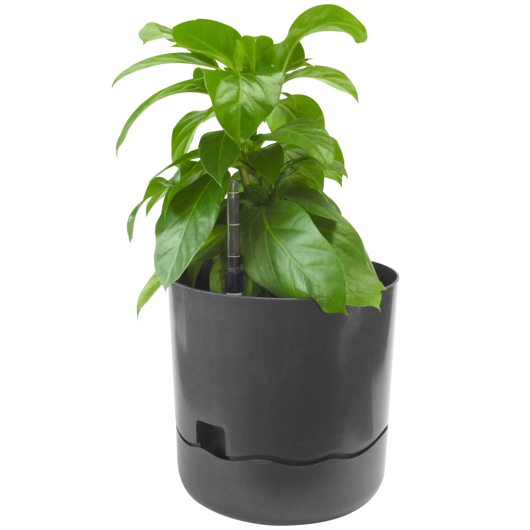 Waveline Planter, 240