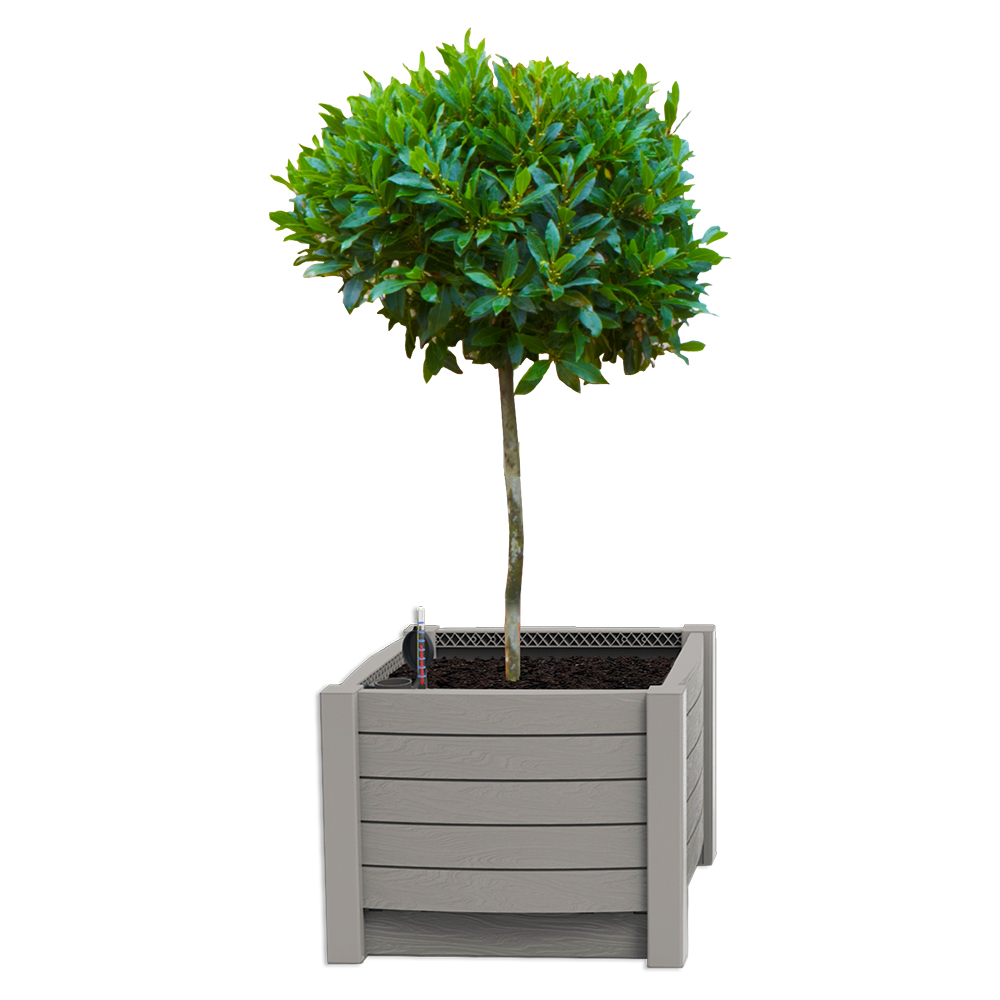 Big Box Planter