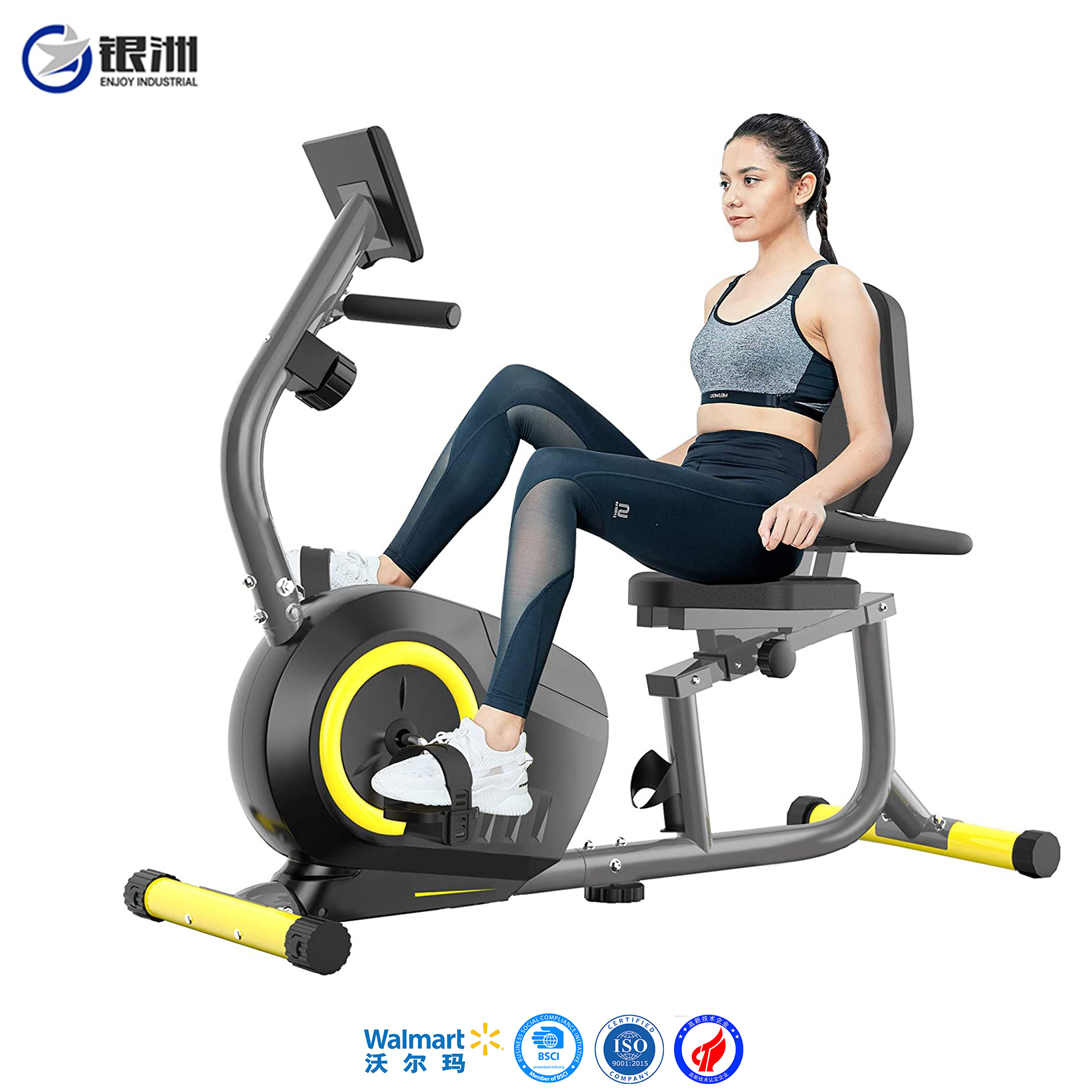 Magnetic Recumbent Bike