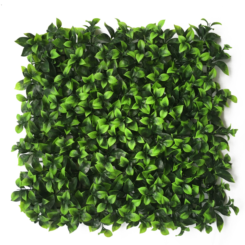 Jiangsu WMGrass Co.,LTD – portarretrato 3