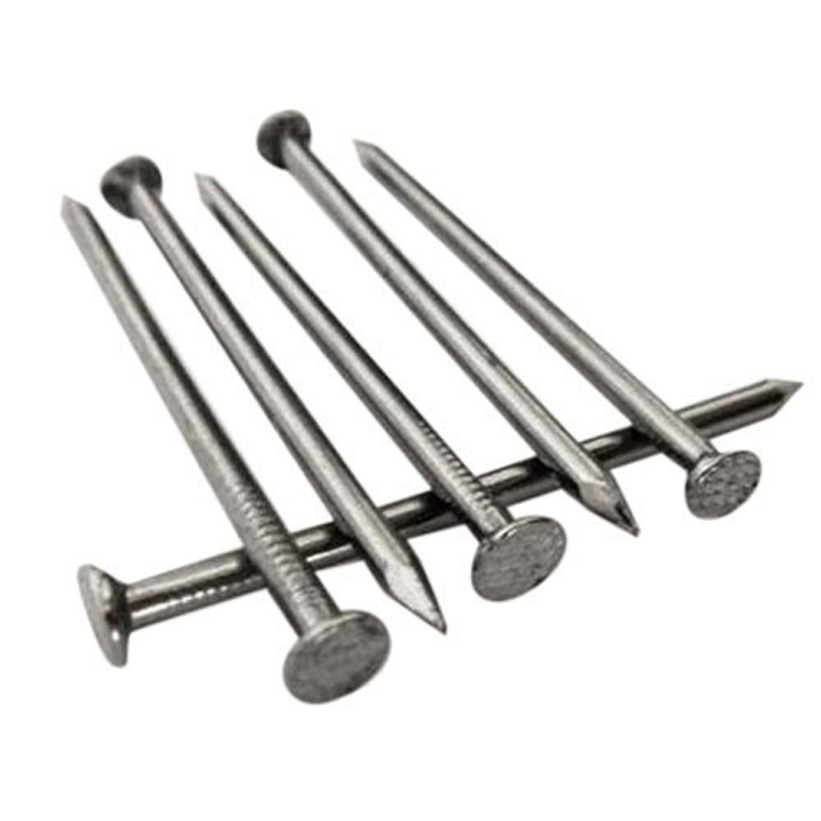 galvanized common nails
