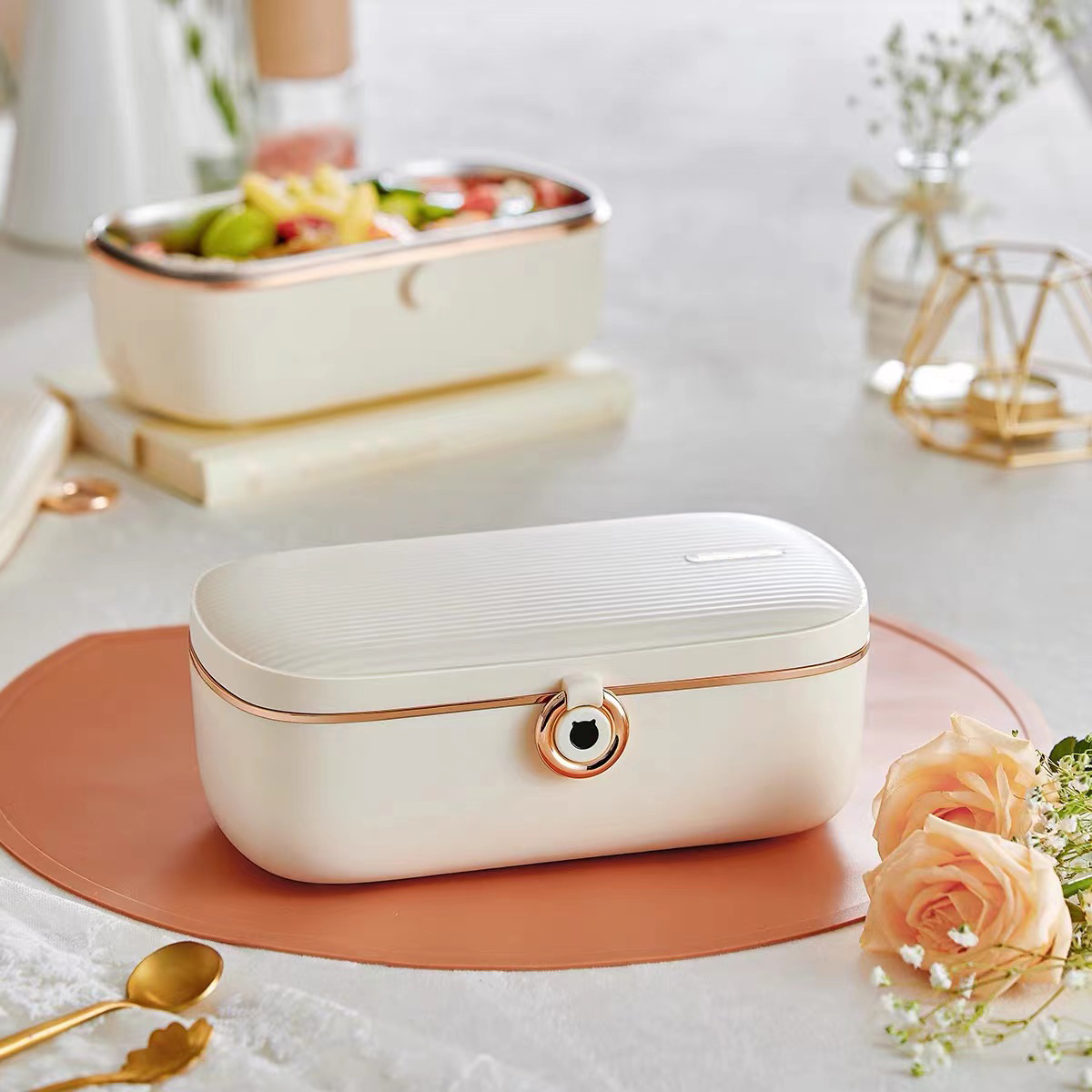 Office gift electric lunch box