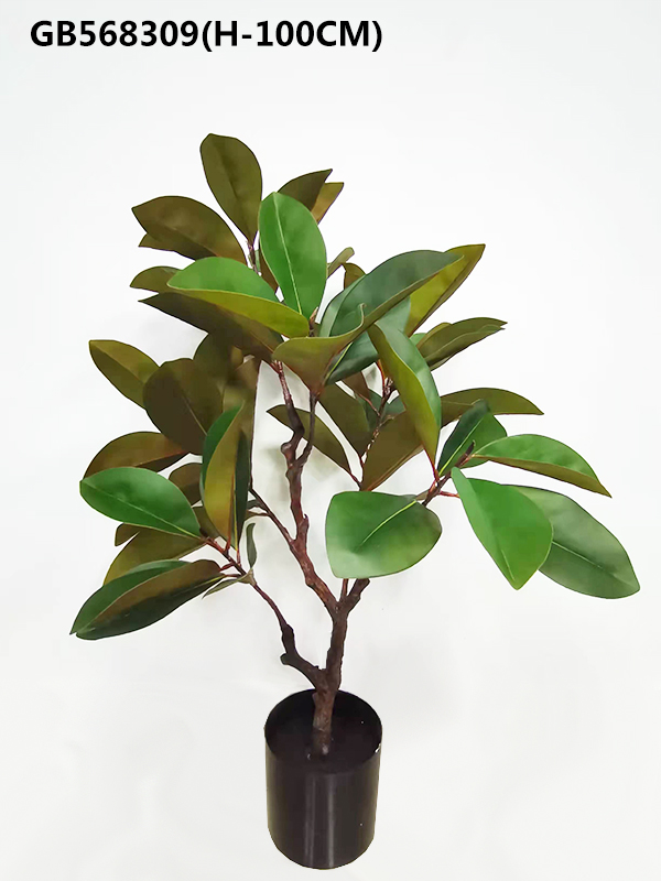 Mangnolia leaf w/black plastic pot