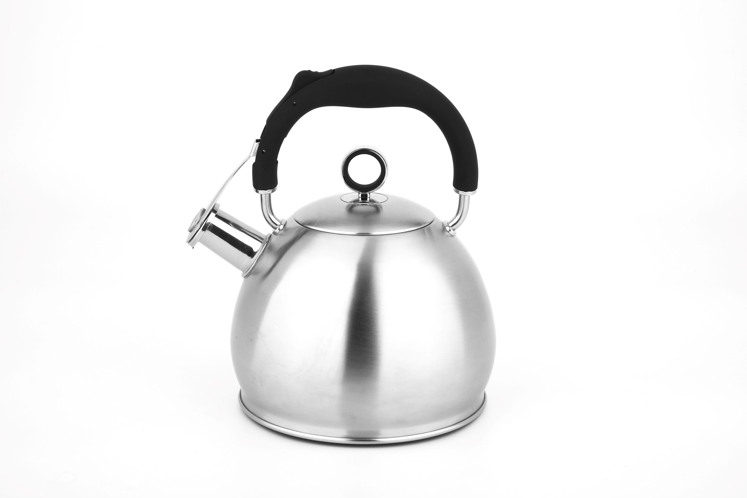 Stainless Steel Kettle