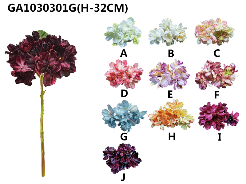 Single hydrangea