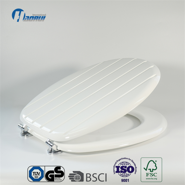 Toilet seat, Moulded toilet seat