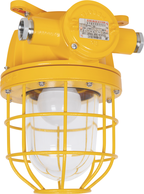 DF1 Explosion-proof Pendant Light
