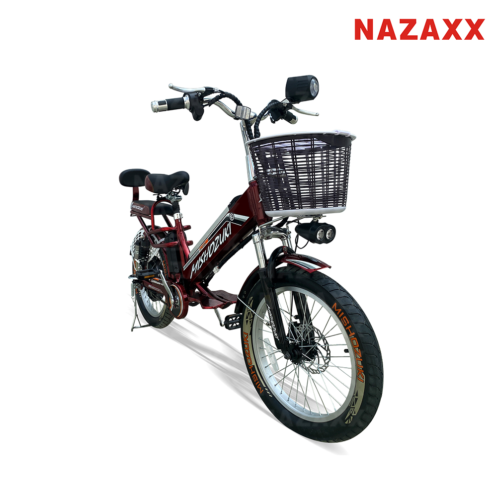 CHONGQING NAZAXX INTERNATIONAL TRADING CO.,LTD. – vehículos eléctricos 2
