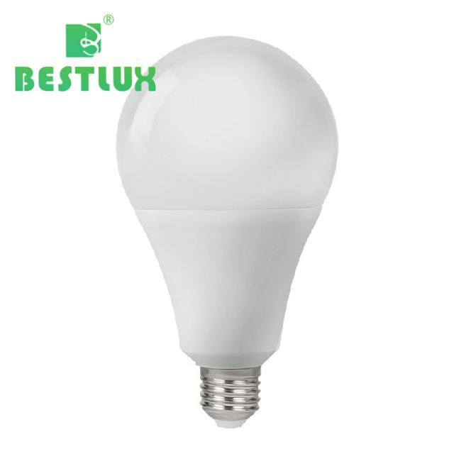 LED Bulb