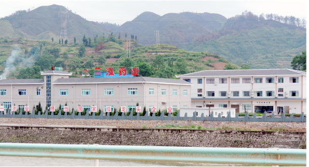 Guizhou Sanhong Pharmaceutical Co., Ltd. – café molido 1