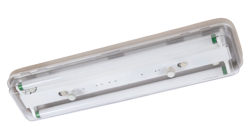 CCY26-2 Fluorescent Pendent Light