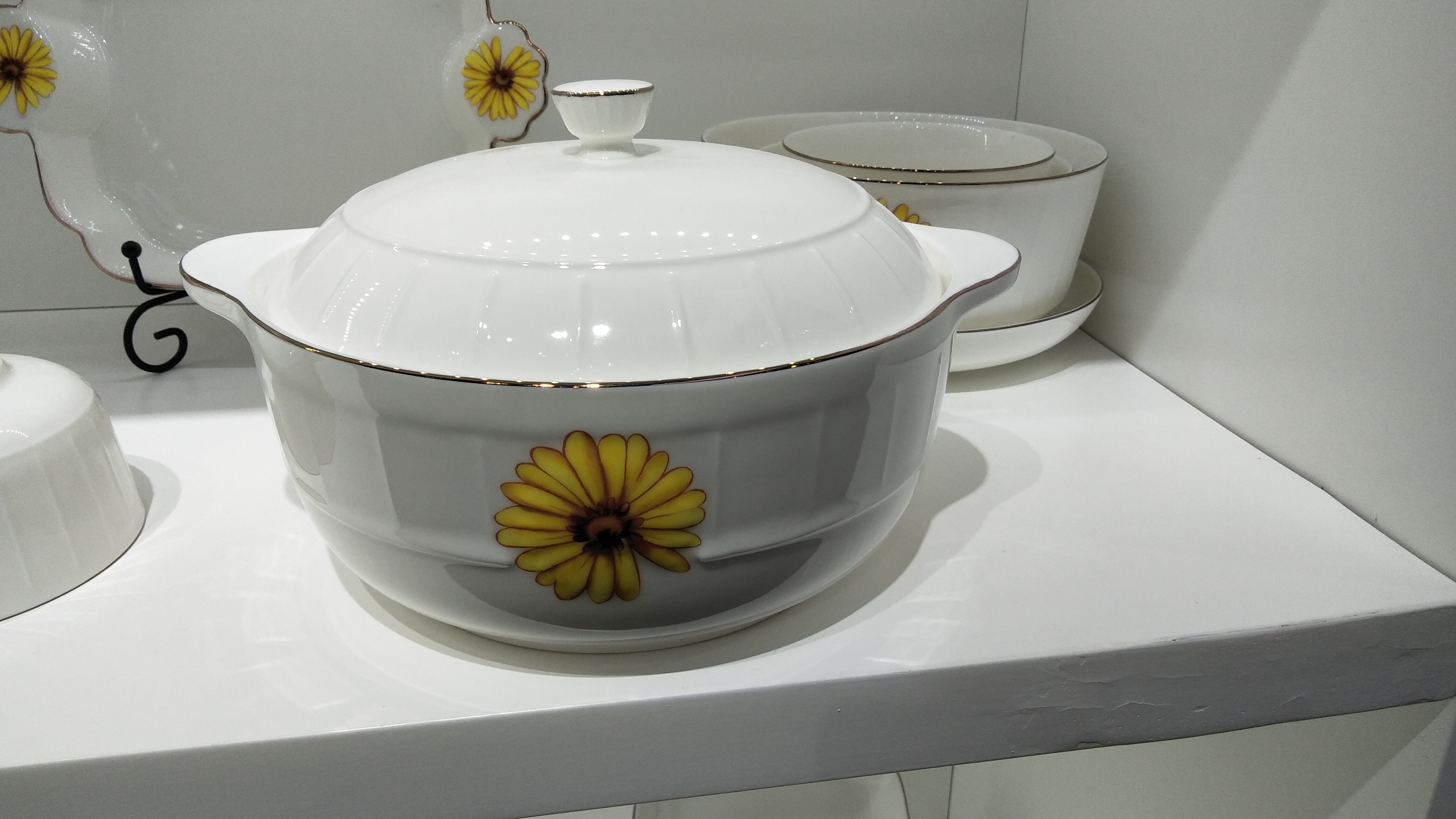 New bone china dinnerware