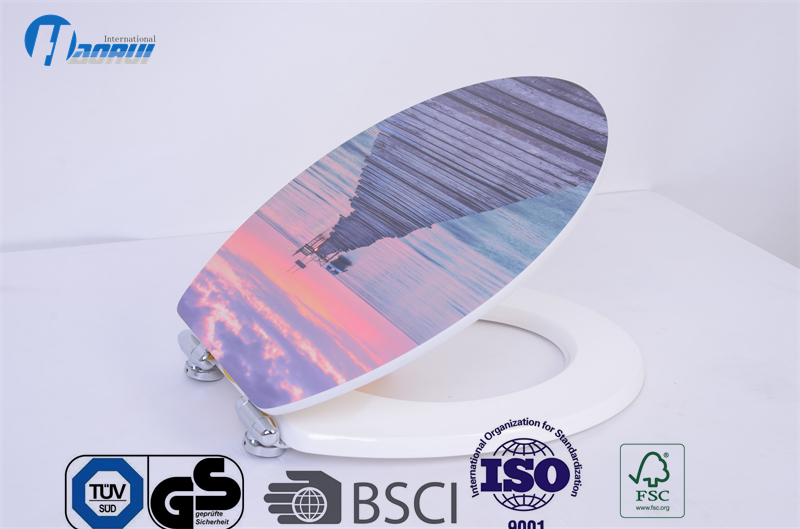 Toilet seat, Printed toilet seat , Glossy toilet seat , soft close toilet seat
