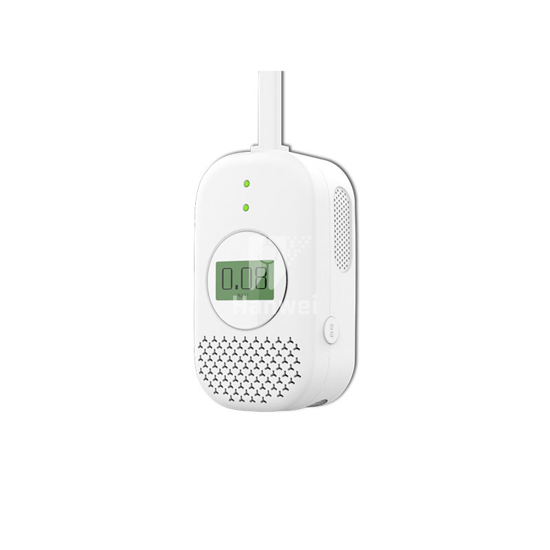 R6 gas alarm with rechargeable battery