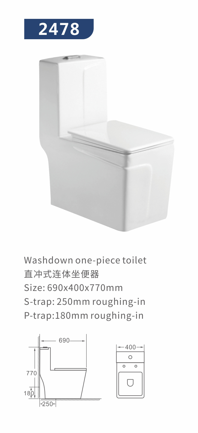 S-trap washdowm toilet