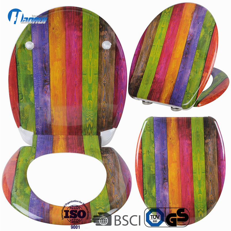 Toilet seat, printed toilet seat, Duroplast printed toilet seat