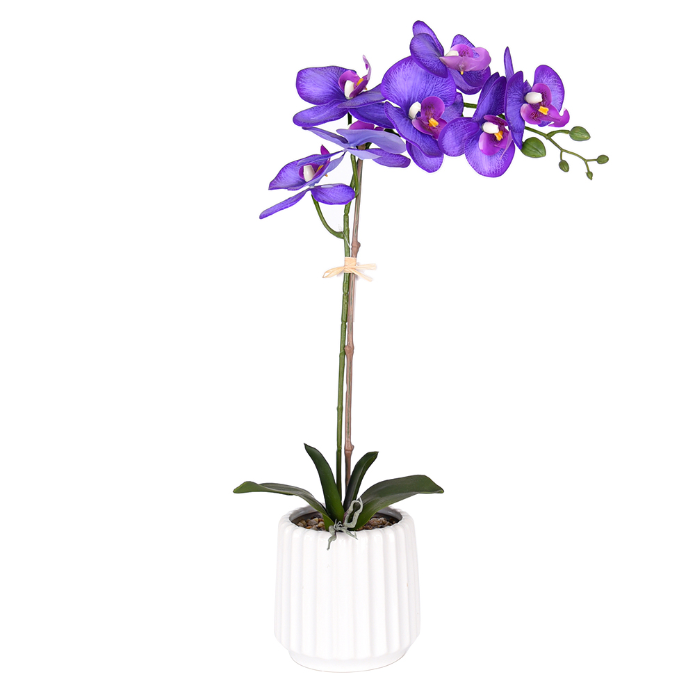 Real touch artificial orchid flower plants with ceramic pot