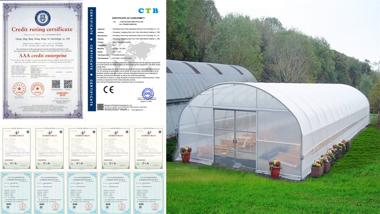 Shenzhen Yimengxing Import and Export Co., Ltd. – Product photos 2