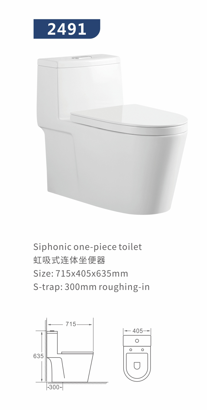 Siphonic one-piece toilet