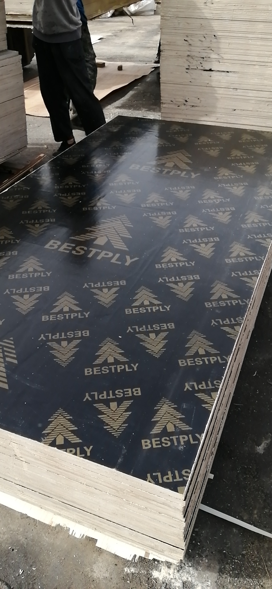 Film faced plywood 16mm