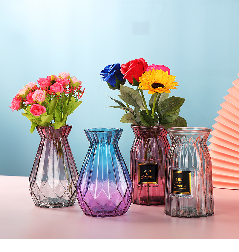 European simple glass vase hydroponic vase, living room, flower dryer, creative glass bottle
