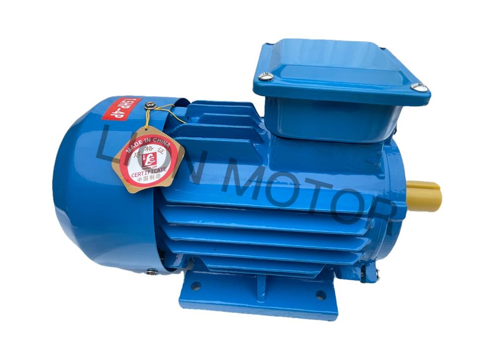 three phase asynchronous induction motor
