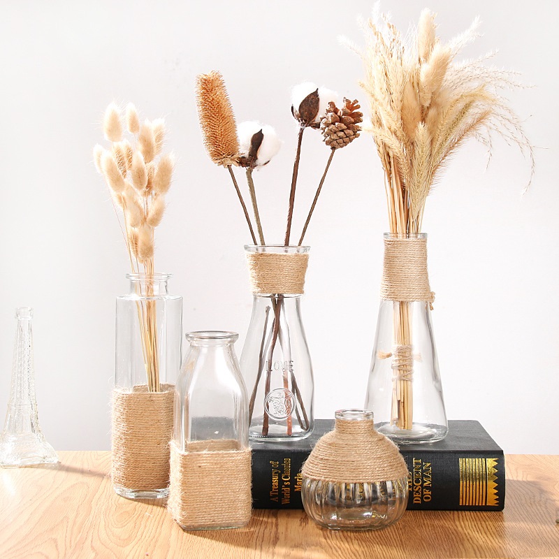 Creative transparent glass vase modern hydroponic vase Nordic home furnishing decorative dry vase