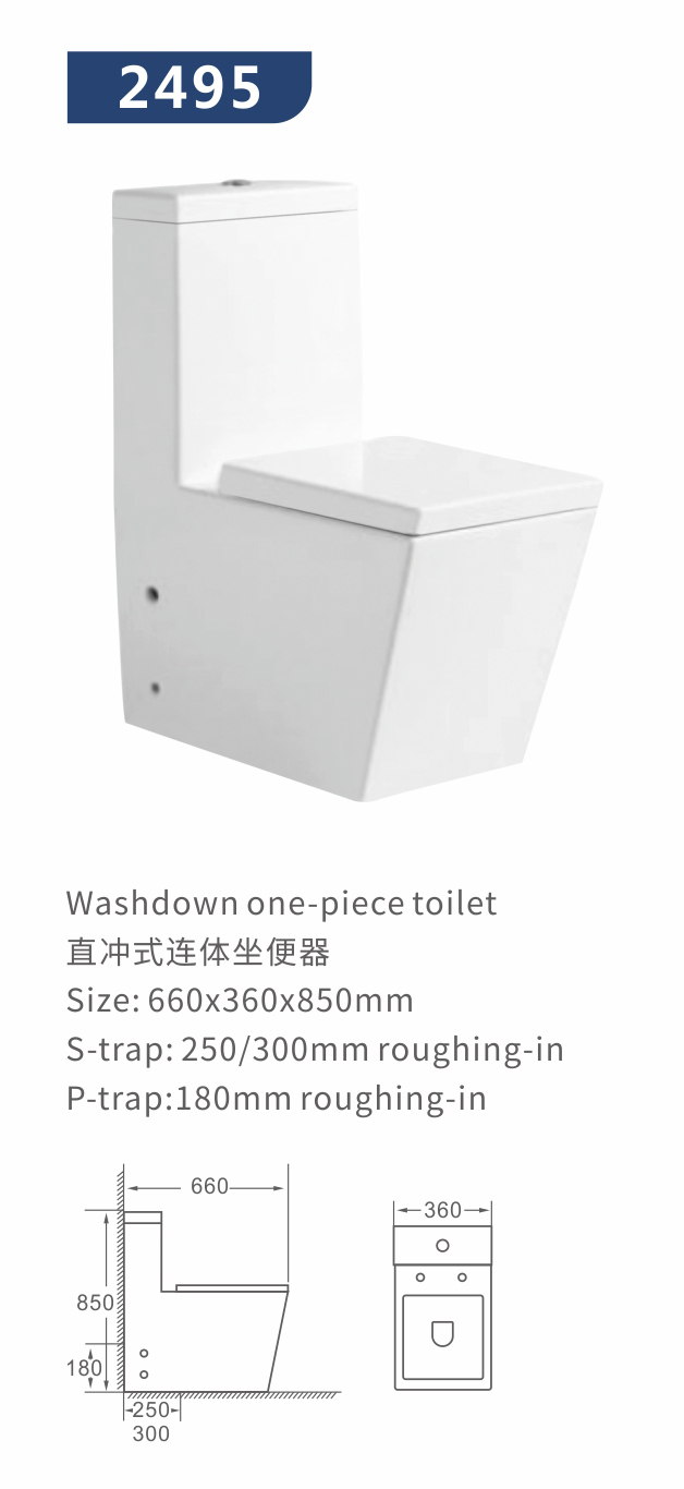 Washdown one piece toilet