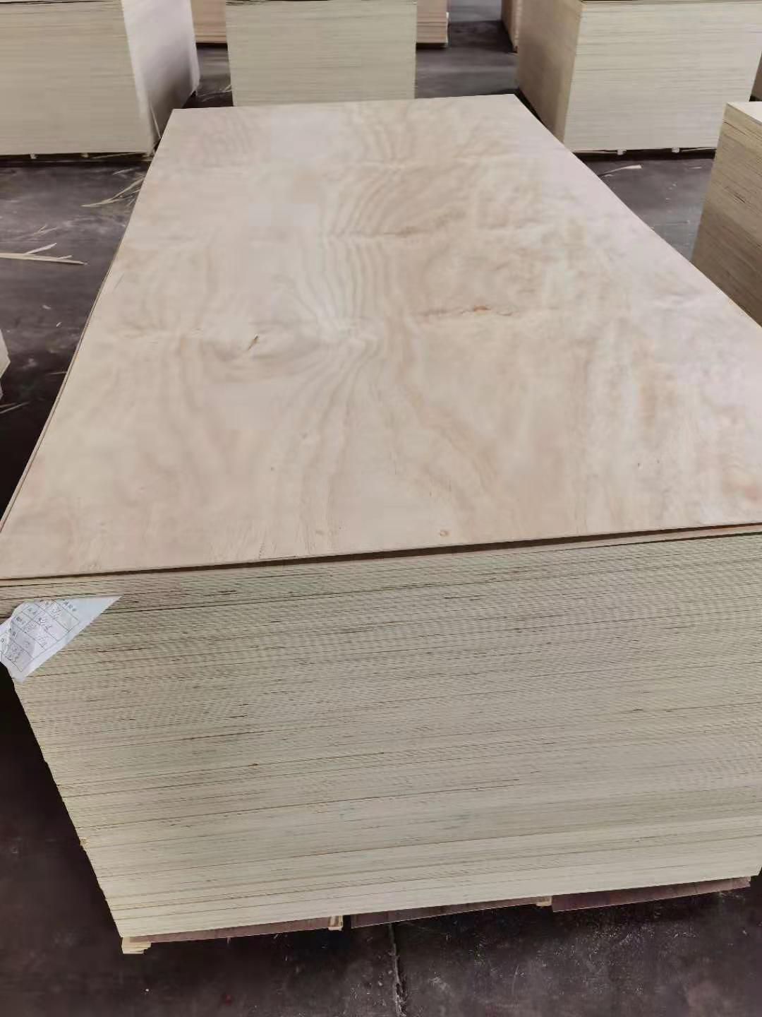 Bintangor plywood 18mm