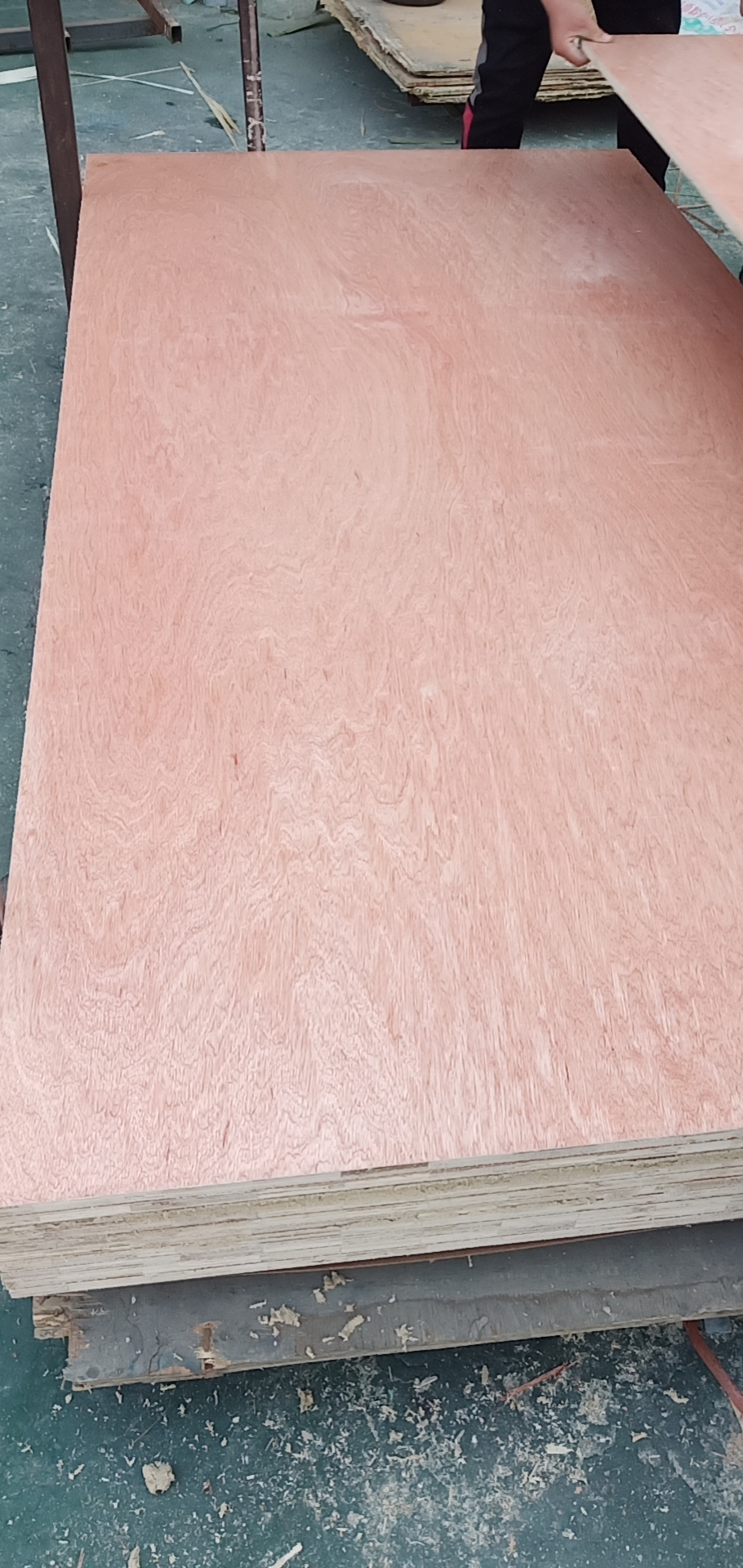 Okume plywood 17mm