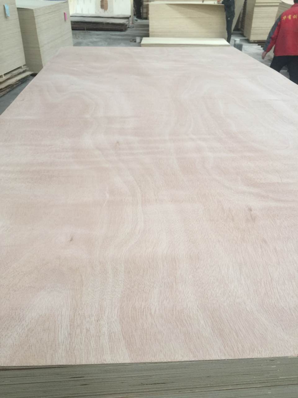 Okume plywood 12mm