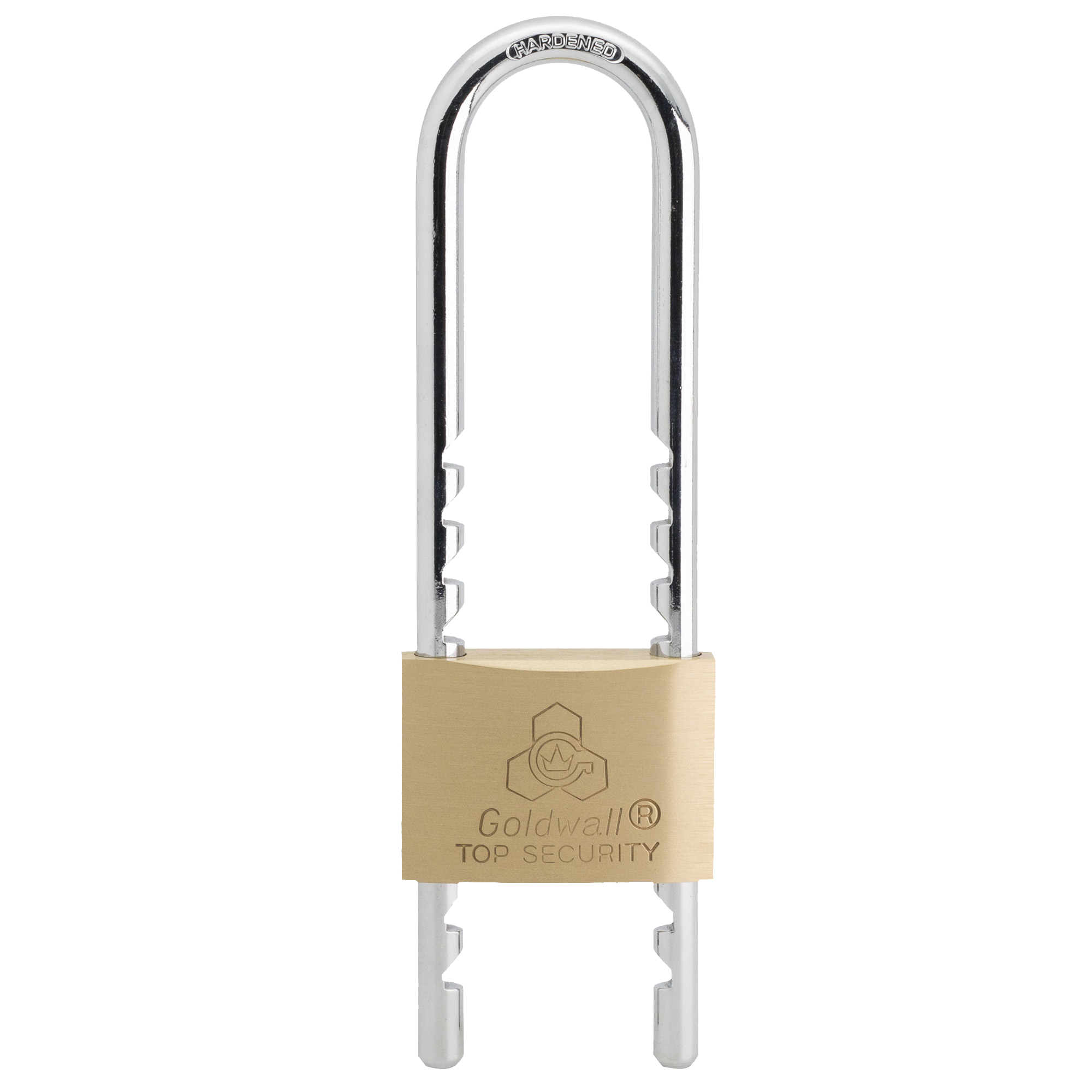 ZHEJIANG PUJIANG JINLEI CO., LTD. – clavo de hierro 2