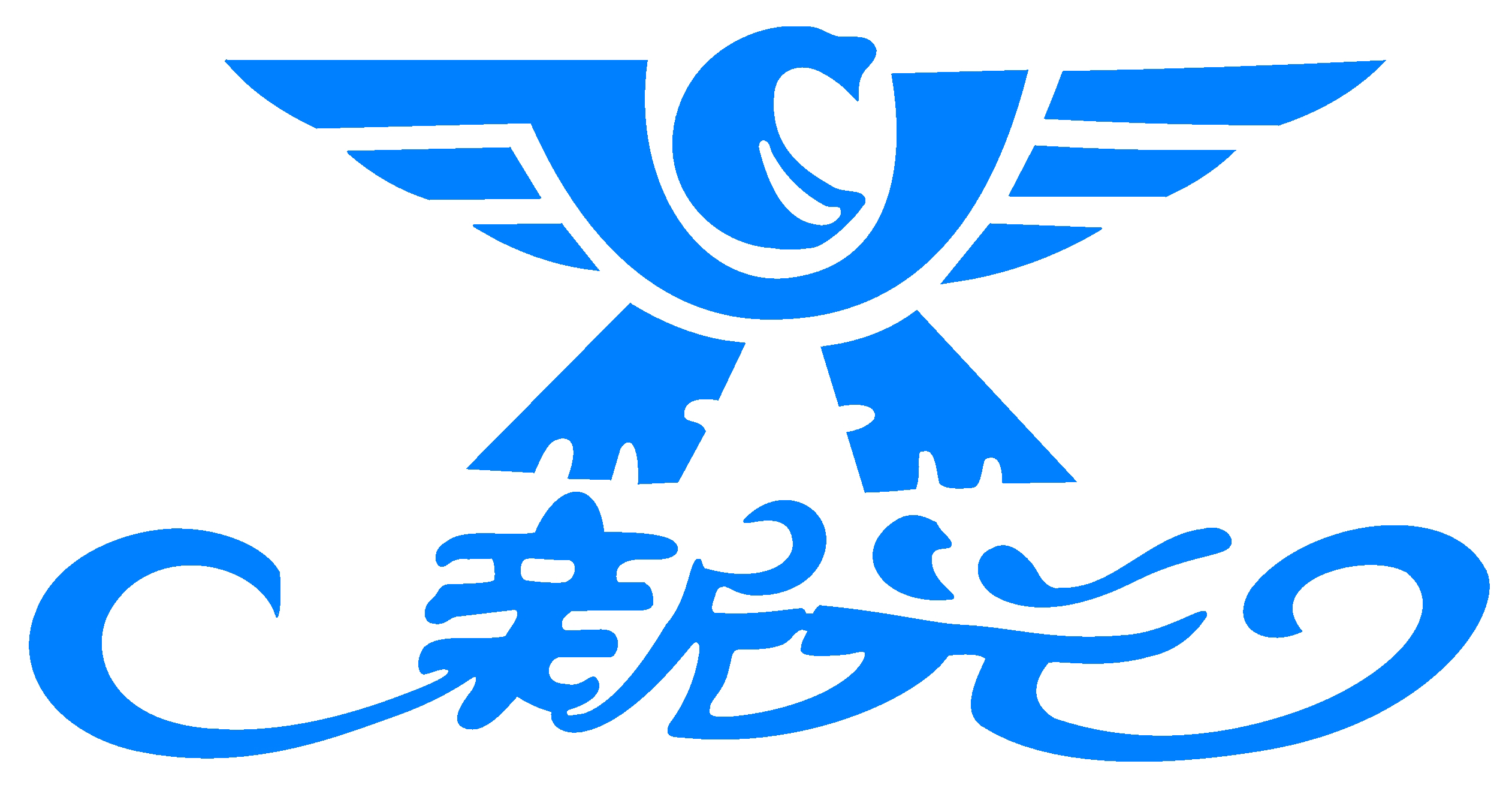 SHANDONG GODLOVE BLANKET CO LTD