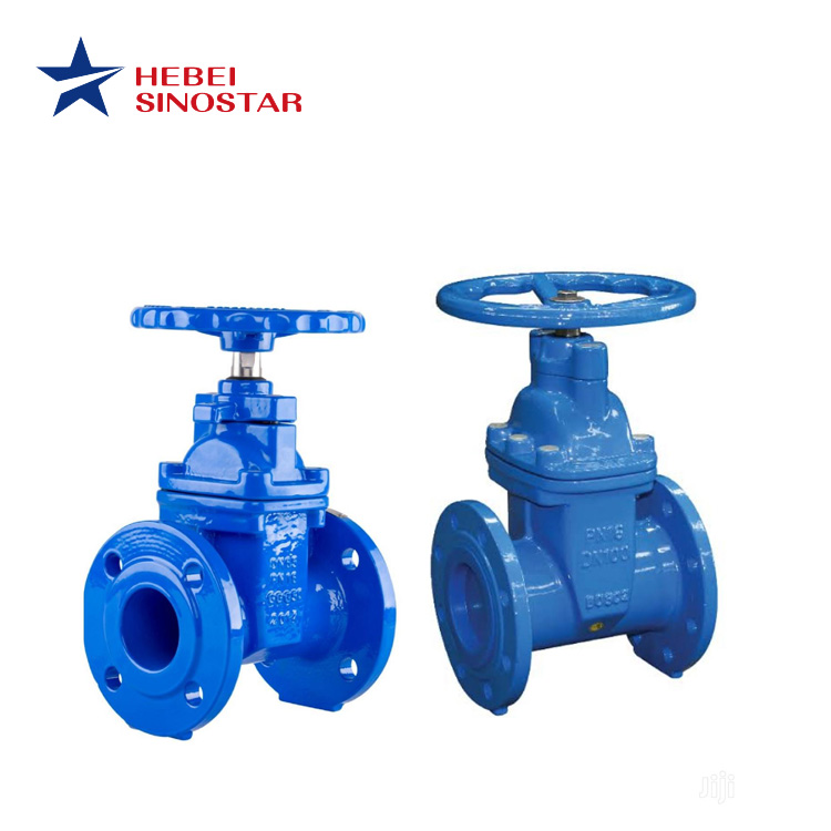 Cast Iron Gate Valve