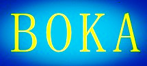 Guangzhou Boka Laboratory System Technology Co., Ltd.