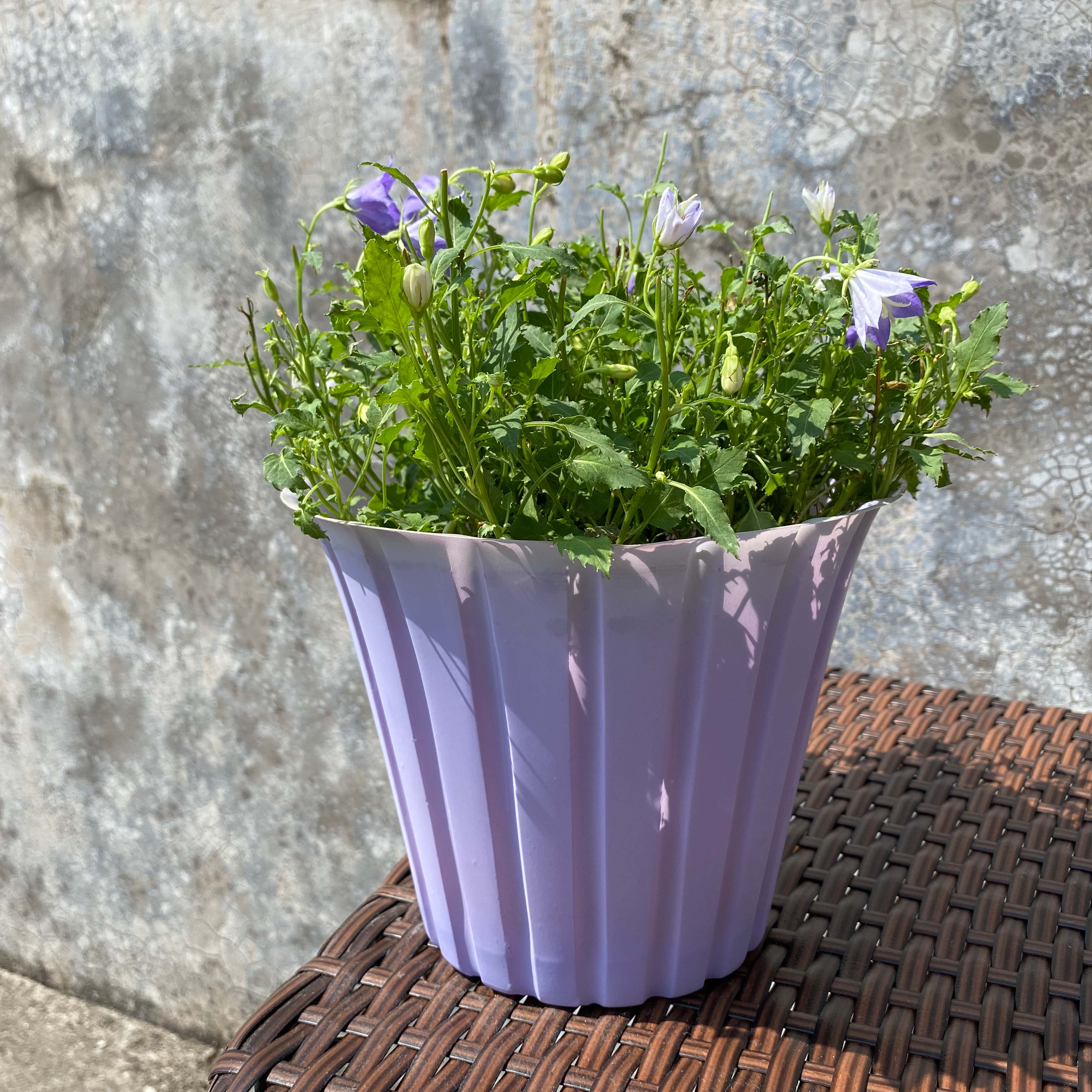 strip plastic cover pot