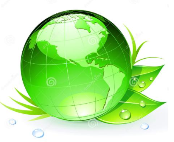 Dongning Shuangsheng Yuanda Food Co., Ltd.