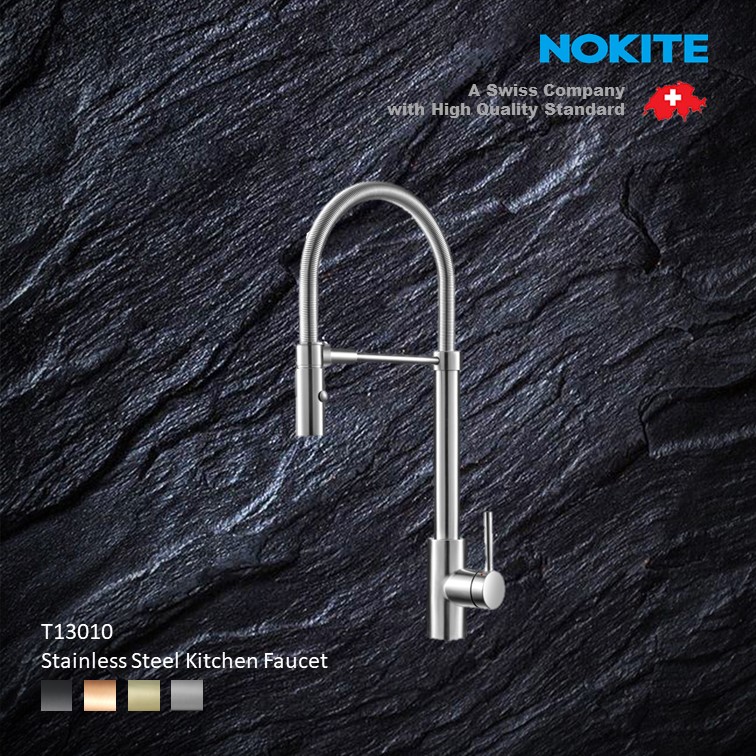 T13010 Stainless Steel Kitchen Faucet