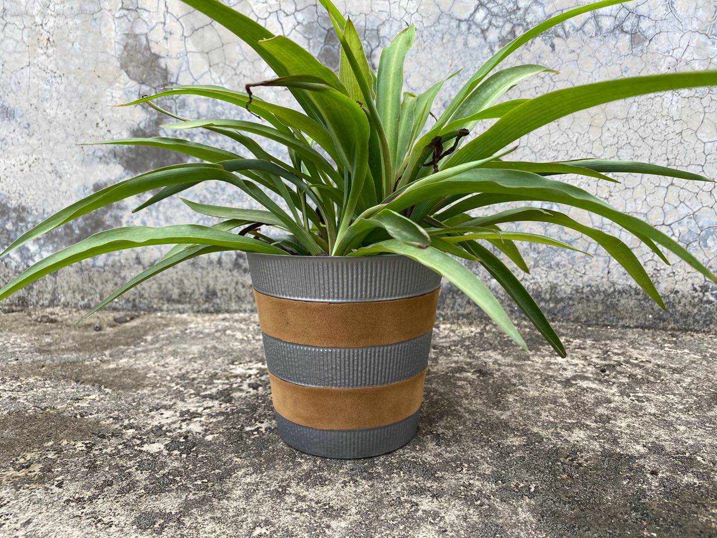 Plastic Cover Pot