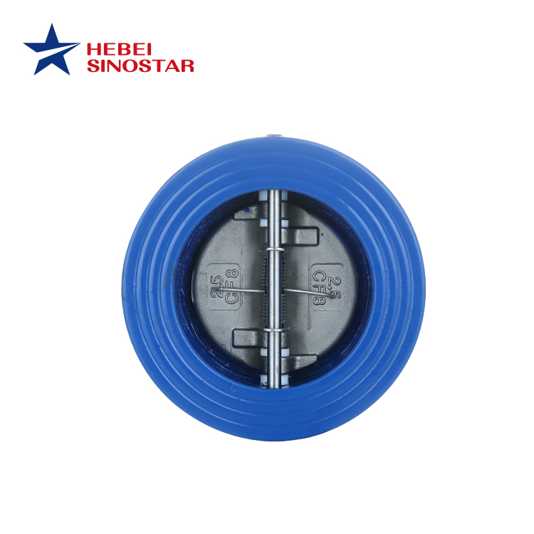 DI Check Valve