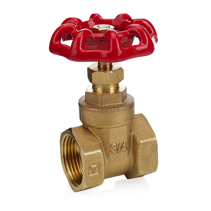 Brass Check Valve