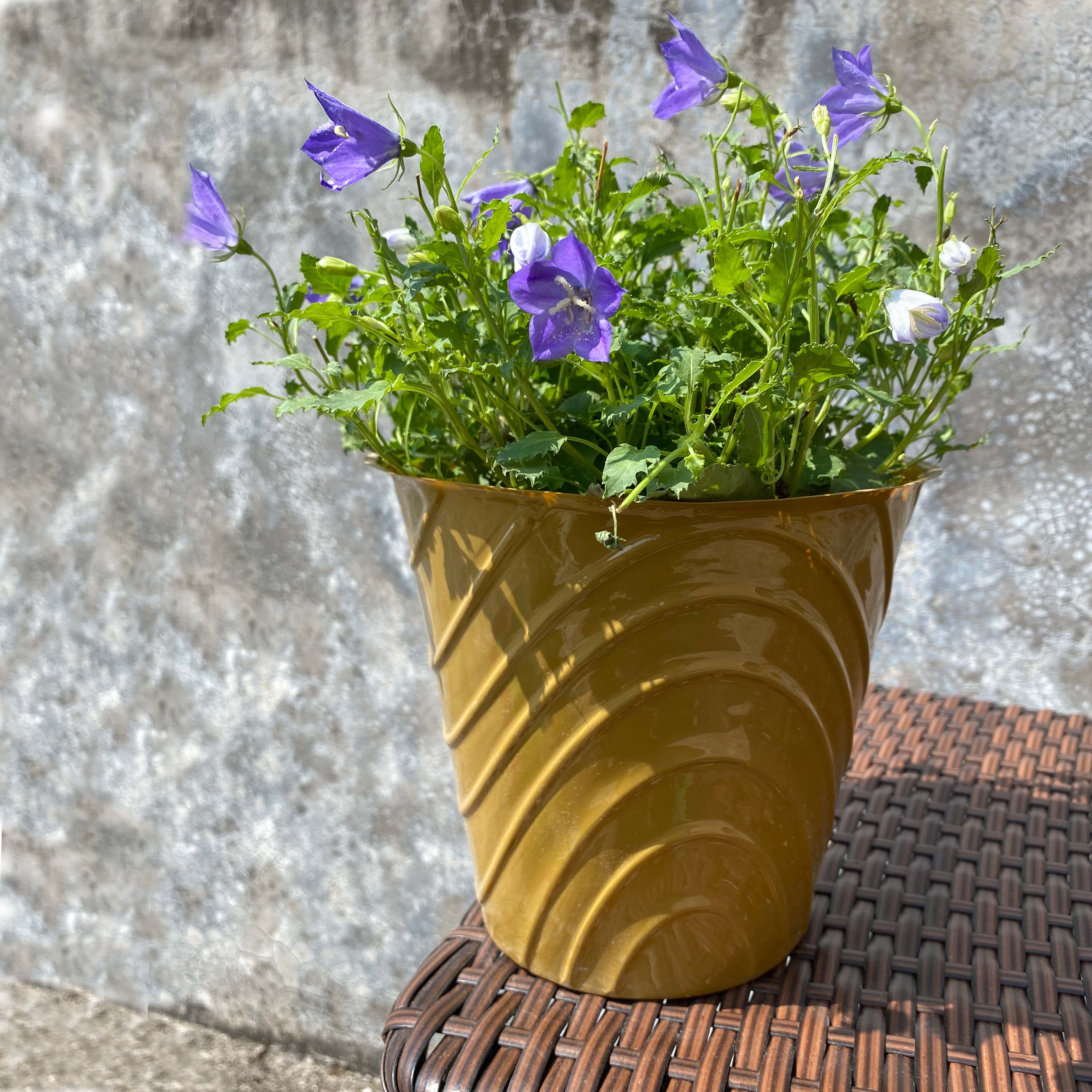 Emboss surface plastic cover pot
