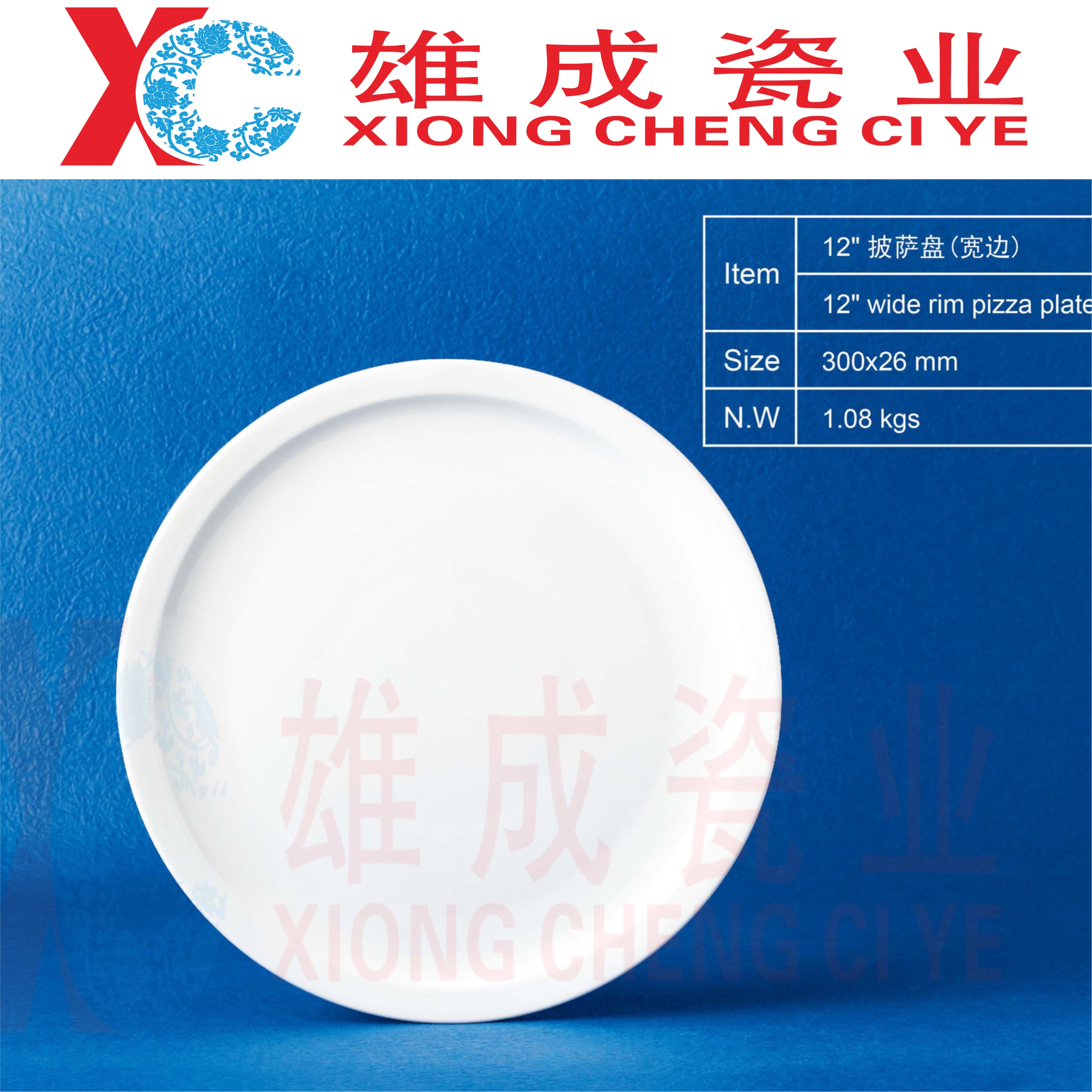 12’‘ wide rim pizza plate