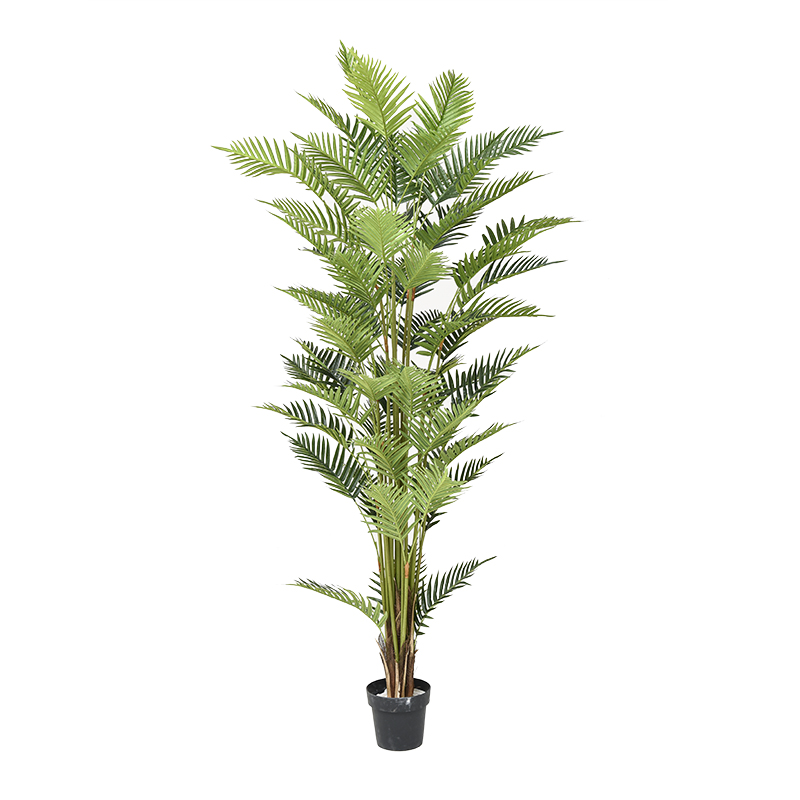 PZG733-63 Palm tree with 63 sets of leaves